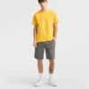 10" Moisture Wicking, Sport Shorts