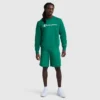 10" Moisture Wicking, Sport Shorts