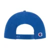 Athletic Dept Flat Brim Cap