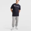 Classic Graphic T-Shirt, Script Logo - Big & Tall