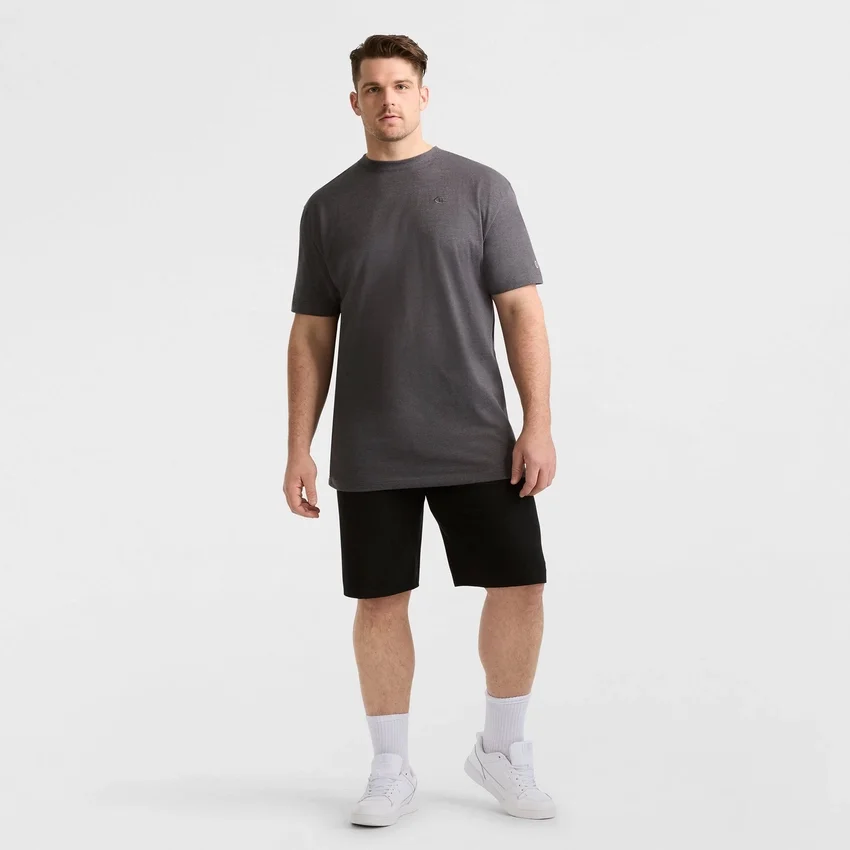 Classic T-Shirt, C Logo - Big & Tall