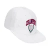 Laurel Shield Flat Brim Adjustable Hat